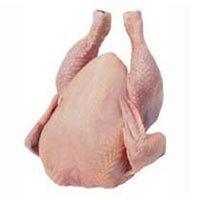 Halal Frozen Chicken